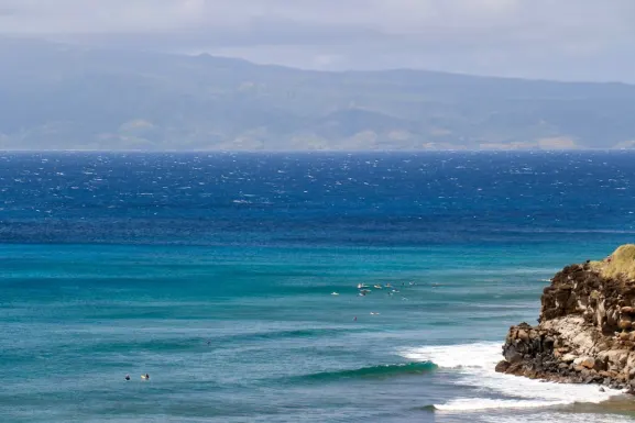 Kassu Casino Support